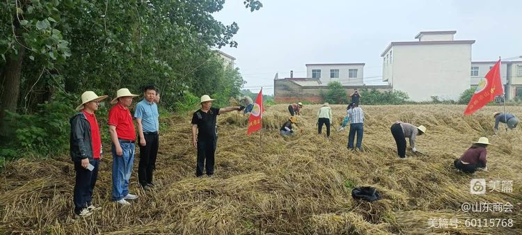 信阳市山东商会组织会员企业为查山农户抢收粮食